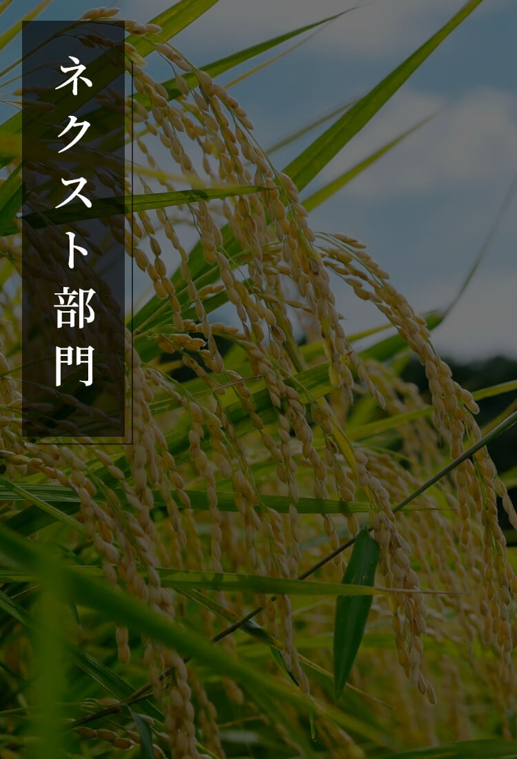 ネクスト部門